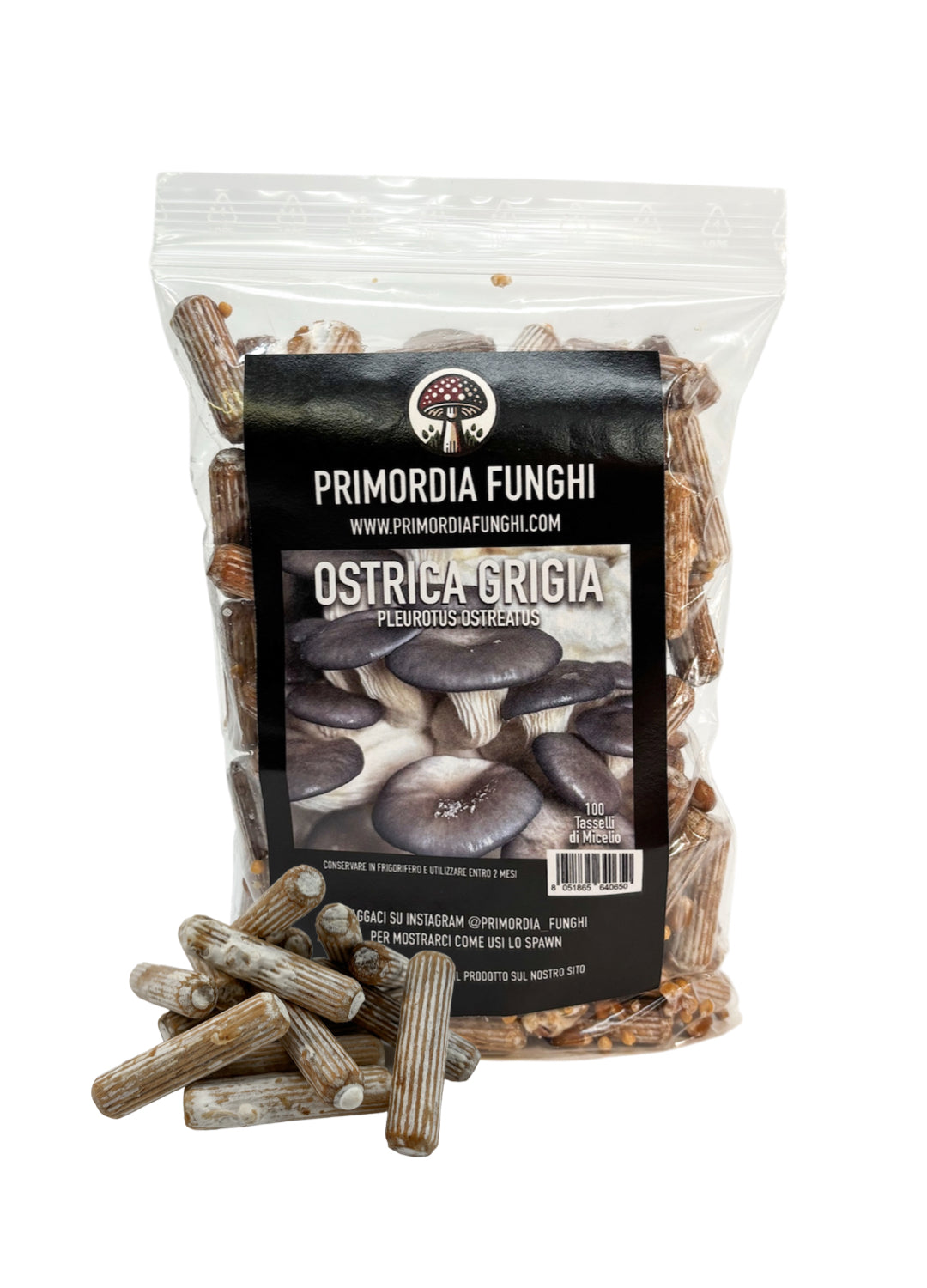 Tasselli di Micelio Fungo Ostrica