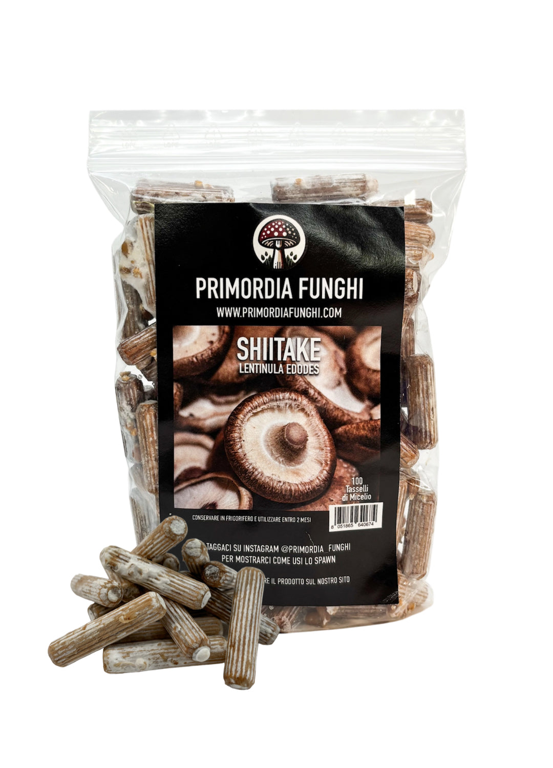 Tasselli di Micelio Fungo Shiitake