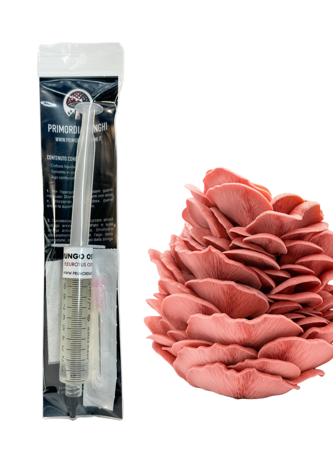 Coltura Liquida Ostrica Rosa