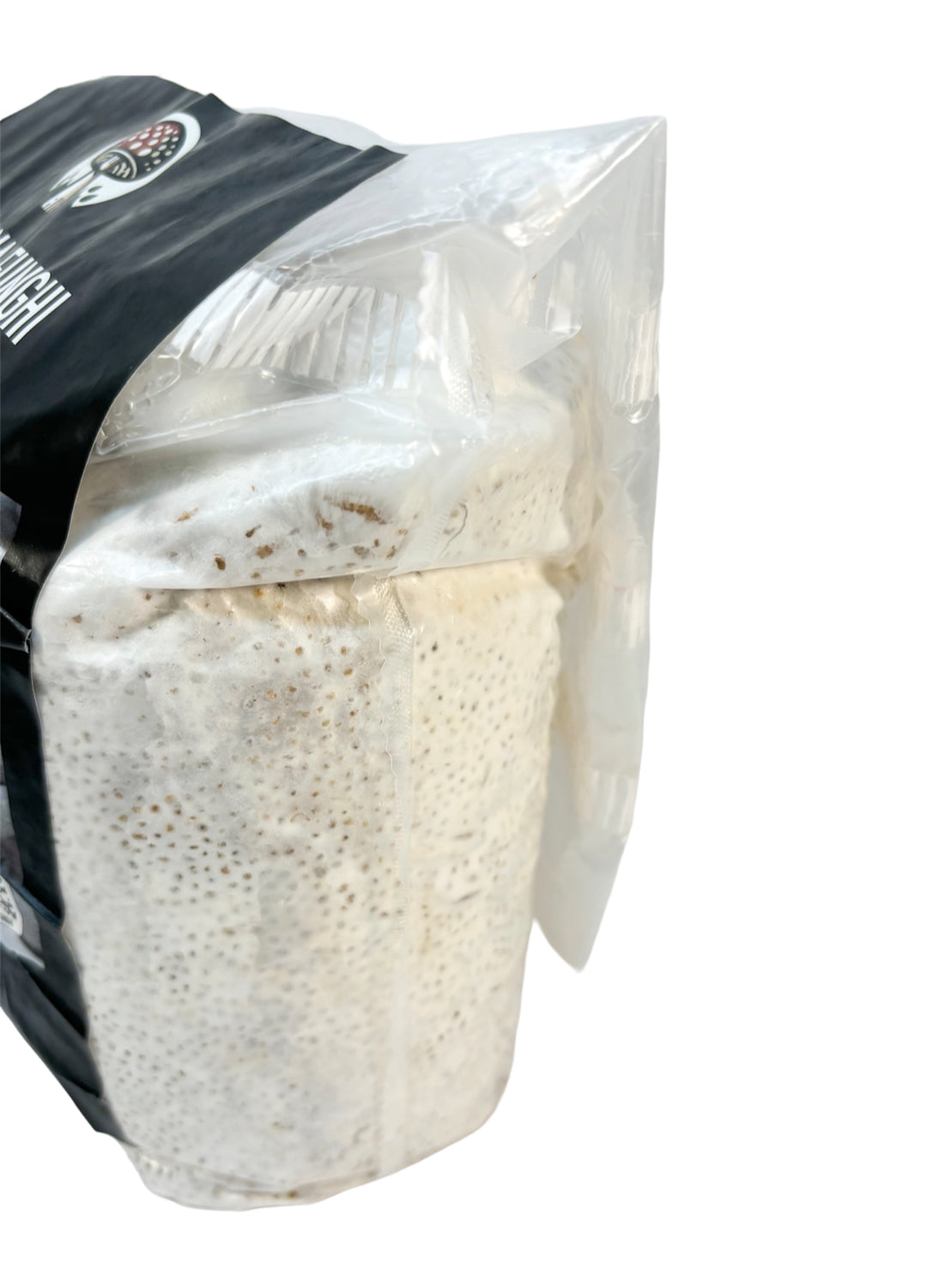 Spawn di Cereali Shiitake