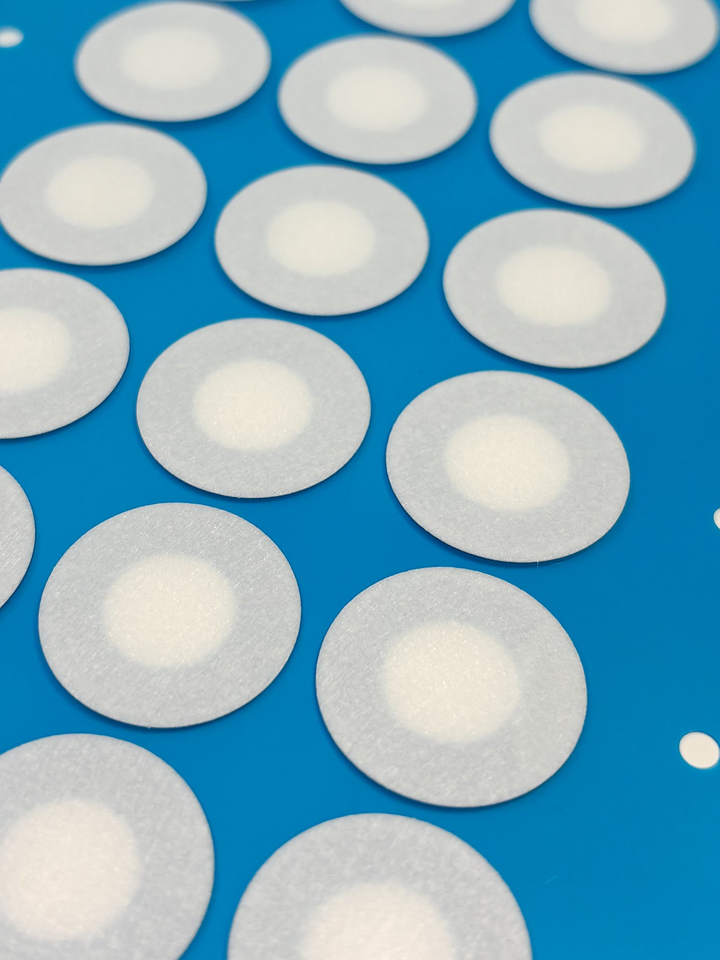 Filtri Adesivi per Coperchi Barattoli di Coltura Liquida