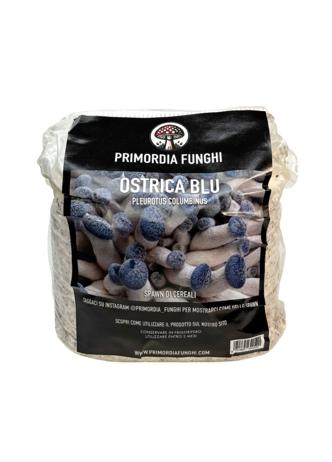 Spawn di Cereali Ostrica Blu