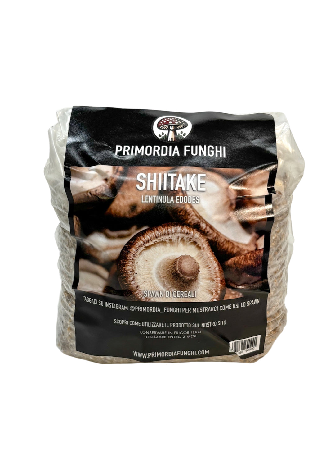 Spawn di Cereali Shiitake