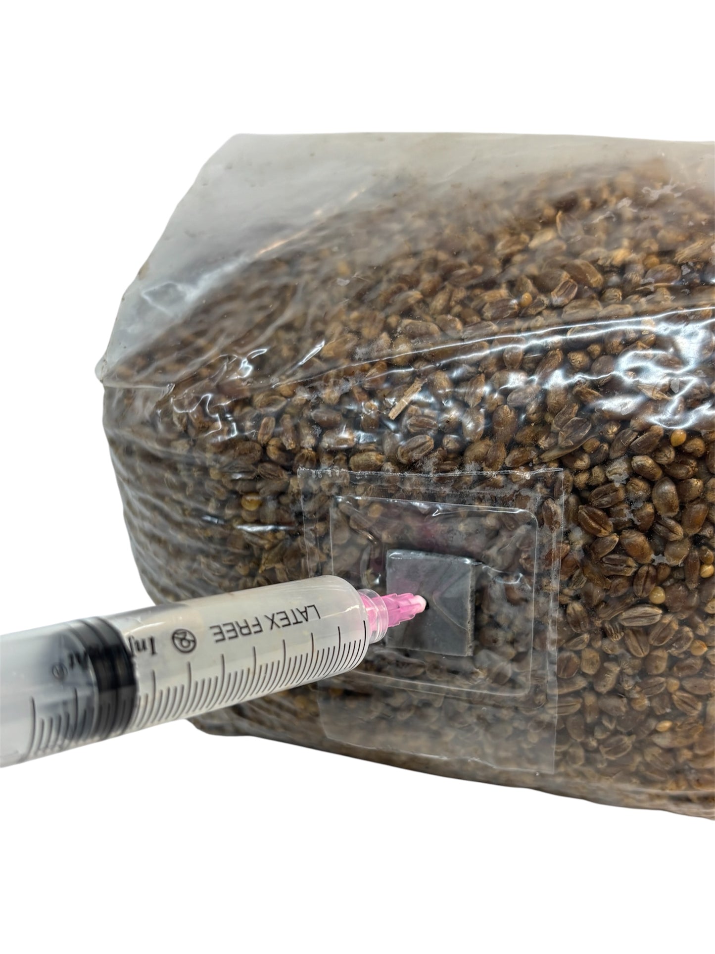 Sacco di Cereali Sterilizzati con Porta per l'Inoculo