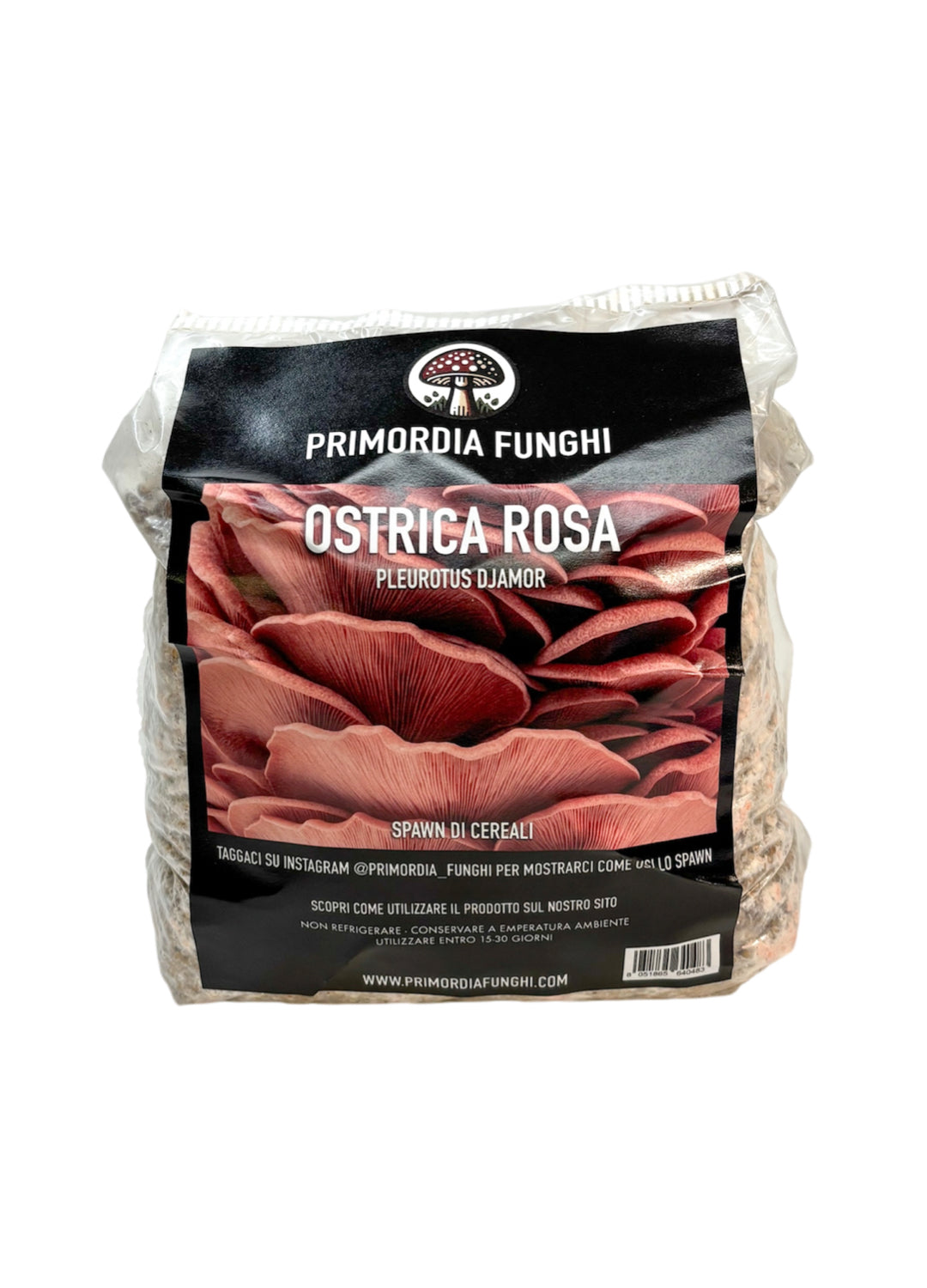 Spawn di Cereali Ostrica Rosa