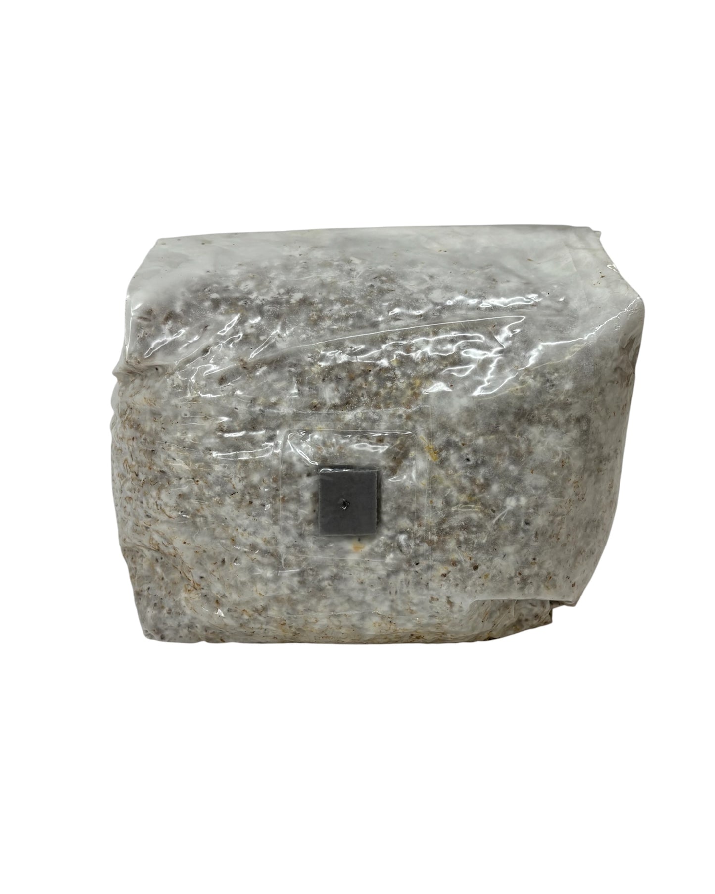 Confezione da 6 Sacchi di Cereali Sterilizzati con Porta per l'Inoculo