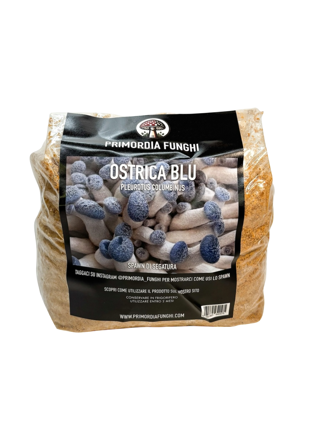 Spawn di Segatura Ostrica Blu