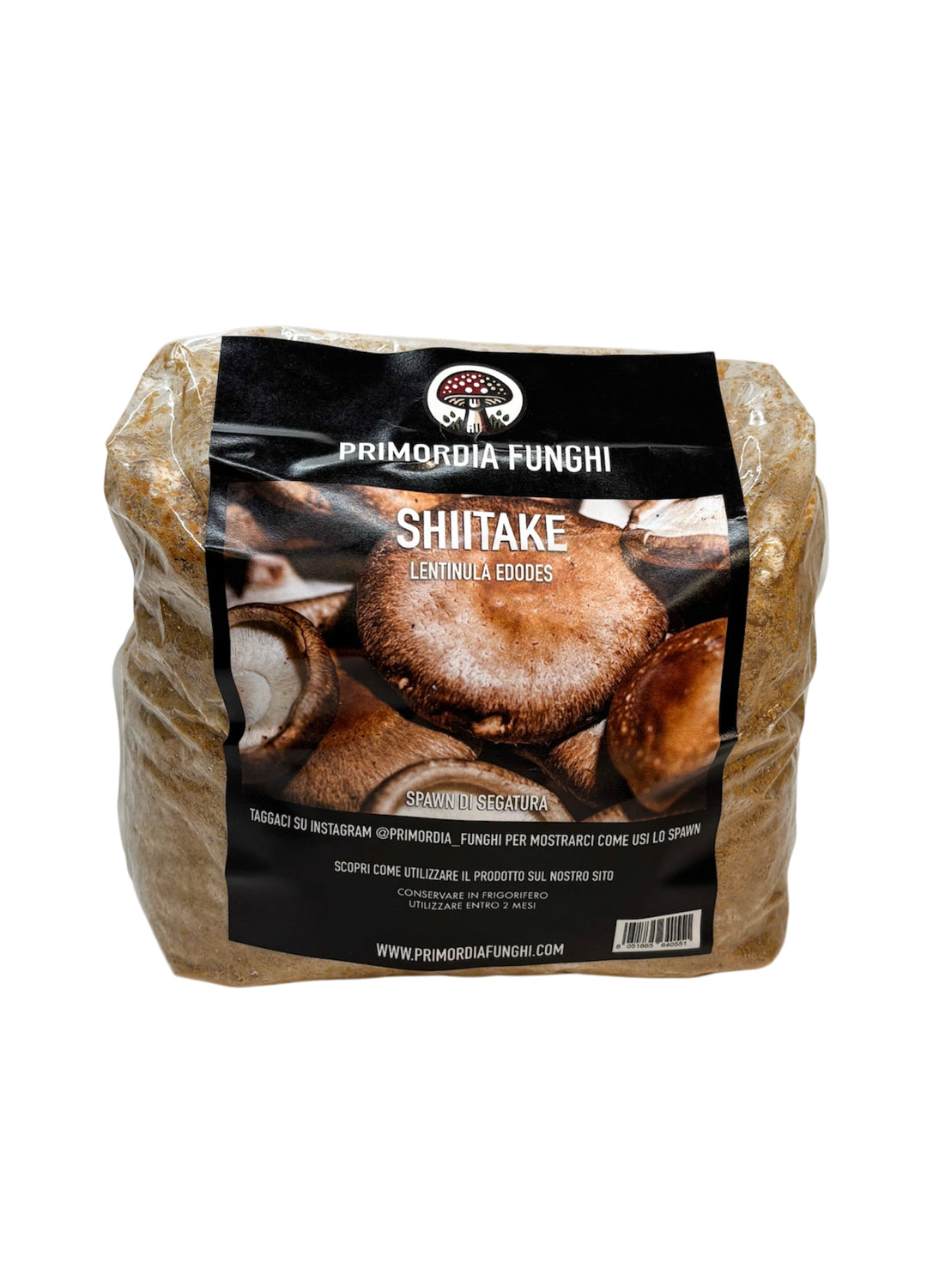 Spawn di Segatura Shiitake