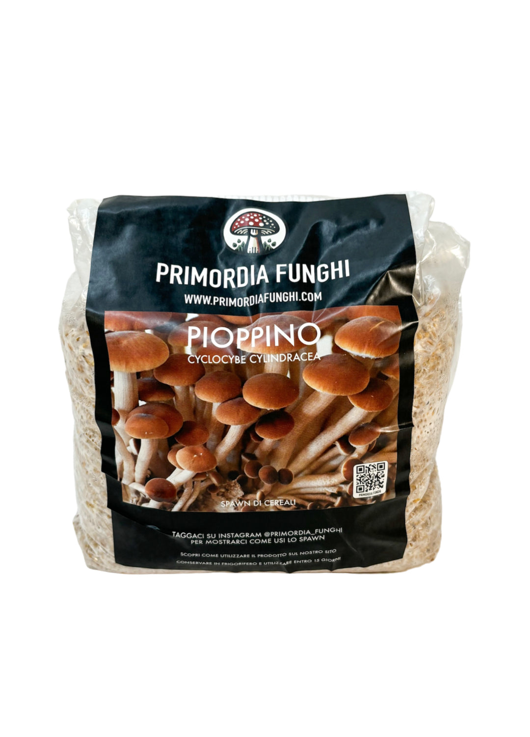 Spawn di Cereali Pioppino
