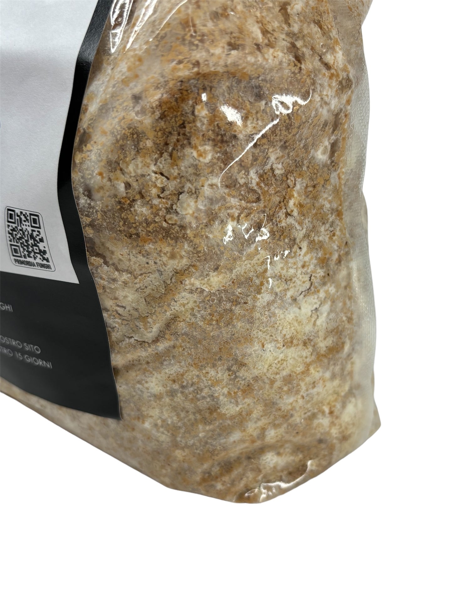 Spawn di Segatura Shiitake