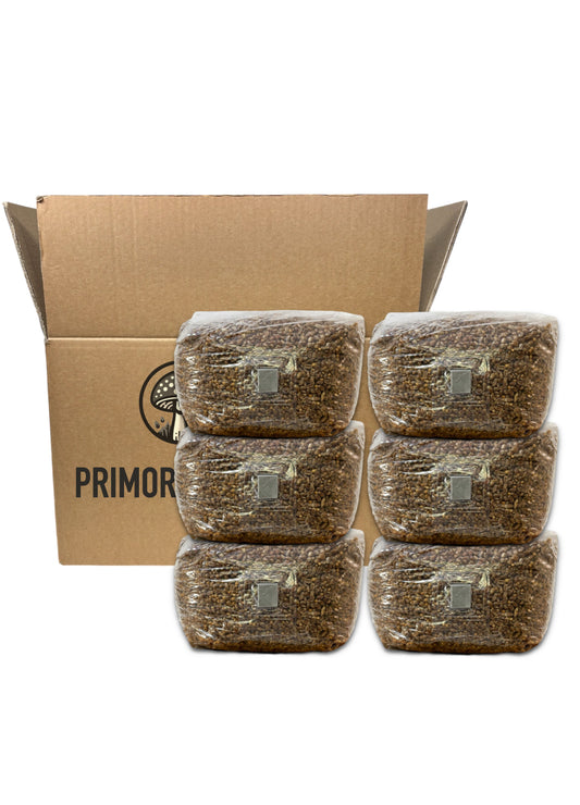 Confezione da 6 Sacchi di Cereali Sterilizzati con Porta per l'Inoculo