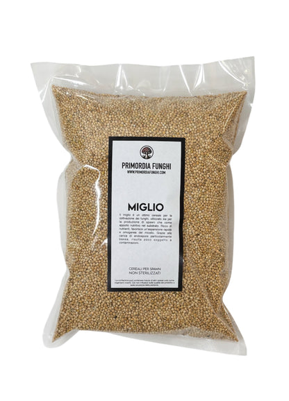 Miglio per la Coltivazione di Funghi