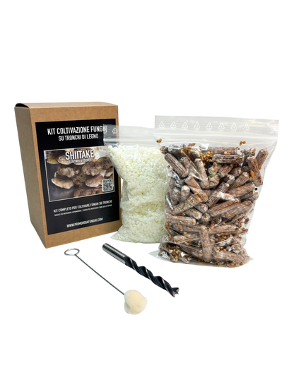 Shiitake Kit Coltivazione su Tronchi