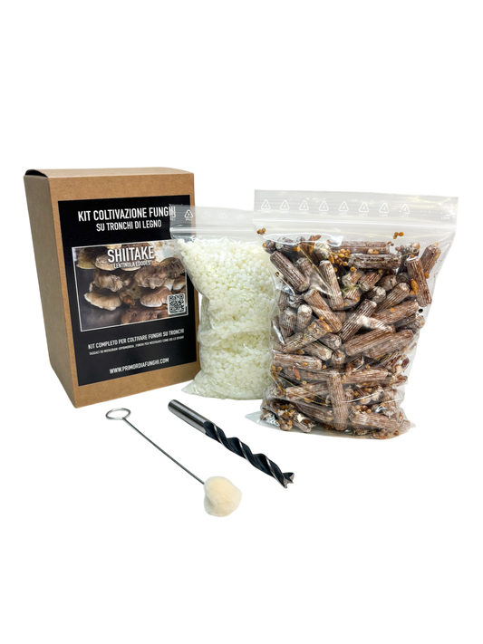 Shiitake Kit Coltivazione su Tronchi