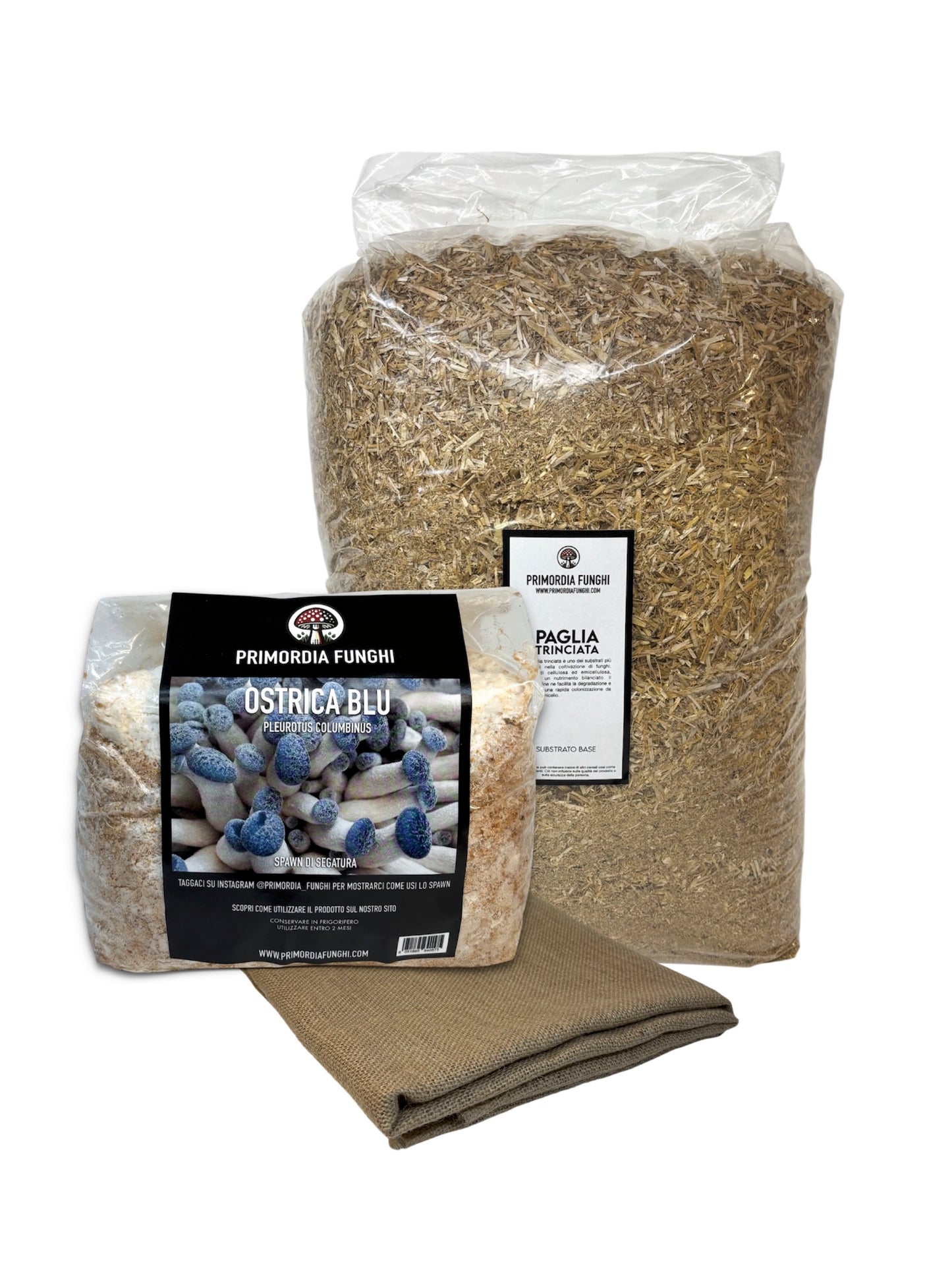 Kit per Cassetta di Funghi Ostrica Blu