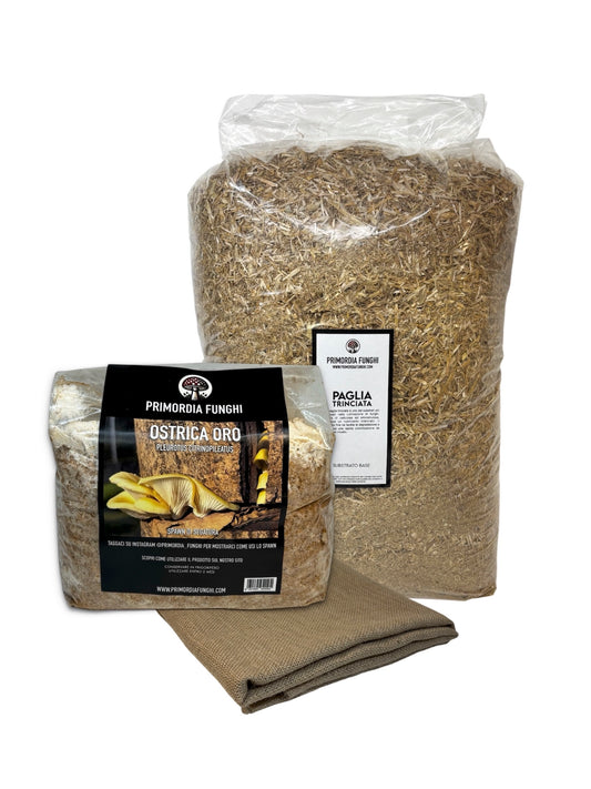 Kit per Cassetta di Funghi Ostrica Oro