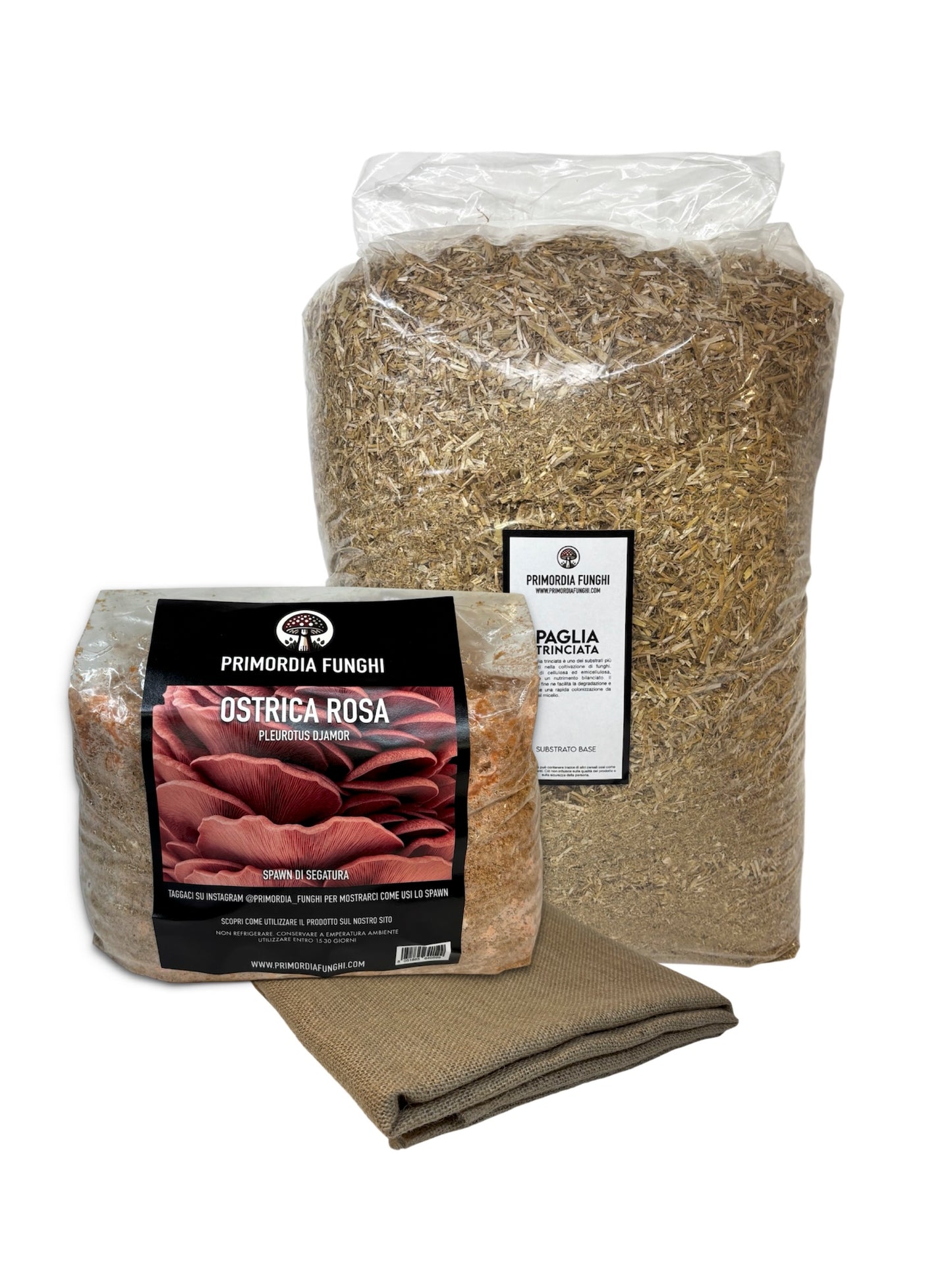 Kit per Cassetta di Funghi Ostrica Rosa