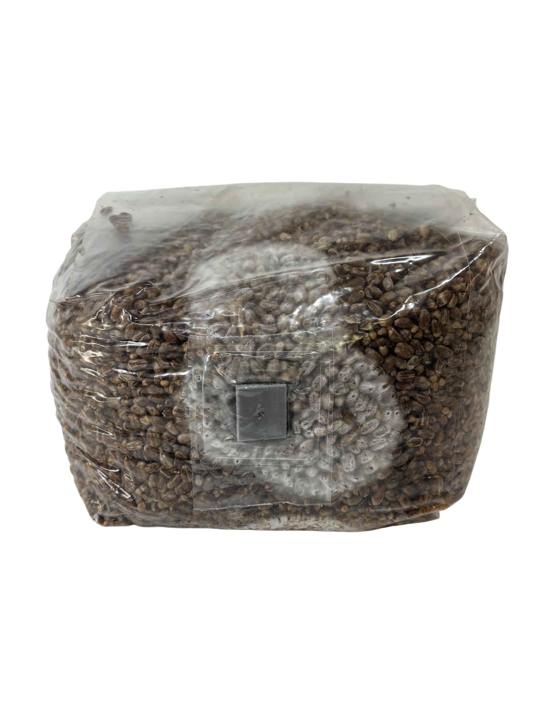 Sacchi in Polipropilene per Coltivazione Funghi – Primordia Funghi Sacchi in Polipropilene per Coltivazione Funghi – Primordia Funghi
