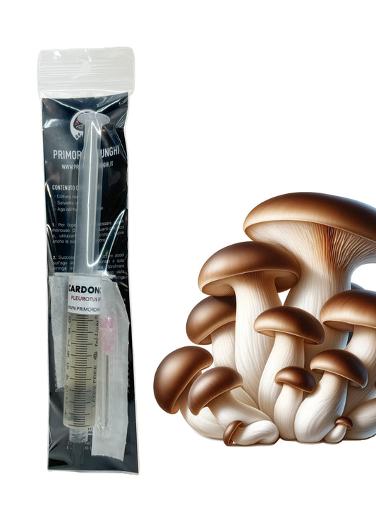 Siringa di coltura liquida di Cardoncello (Pleurotus Eryngii) di Primordia Funghi, con aghi sterili inclusi e un’immagine di funghi Cardoncello a destra.