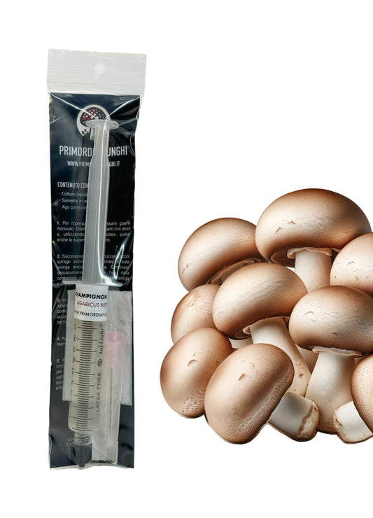 Coltura Liquida Fungo Champignon Crema